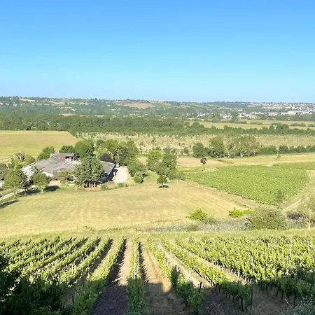 Maison Des Coteaux Blancs Chaudefonds-sur-Layon
