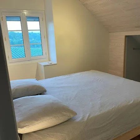 Maison Des Coteaux Blancs Villa Chaudefonds-sur-Layon