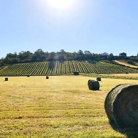 Villa Maison Des Coteaux Blancs *