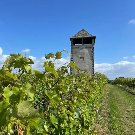 Maison Des Coteaux Blancs וילה Chaudefonds-sur-Layon