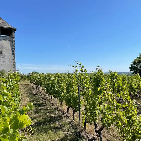 Maison Des Coteaux Blancs * Chaudefonds-sur-Layon