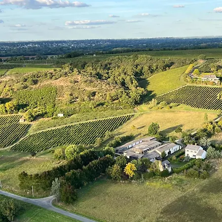 Villa Maison Des Coteaux Blancs Chaudefonds-sur-Layon