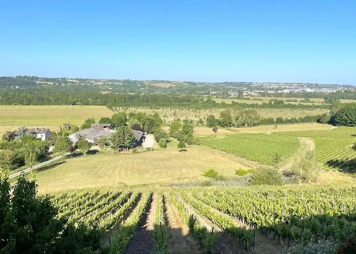 Maison Des Coteaux Blancs Chaudefonds-sur-Layon