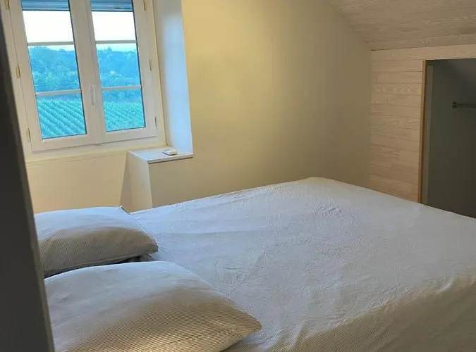 Maison Des Coteaux Blancs Βίλα Chaudefonds-sur-Layon