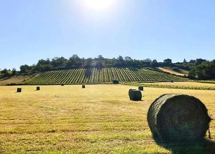 Βίλα Maison Des Coteaux Blancs *