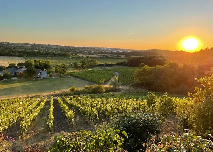 Maison Des Coteaux Blancs