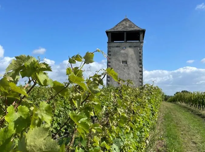 Maison Des Coteaux Blancs Villa Chaudefonds-sur-Layon