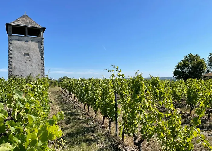Maison Des Coteaux Blancs * Chaudefonds-sur-Layon
